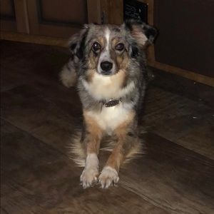 Meet your Posher, Jacey